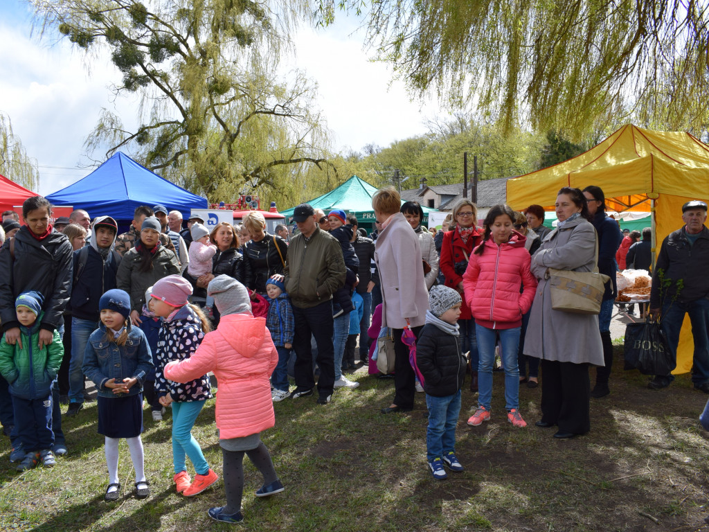 Niedziela na Targach