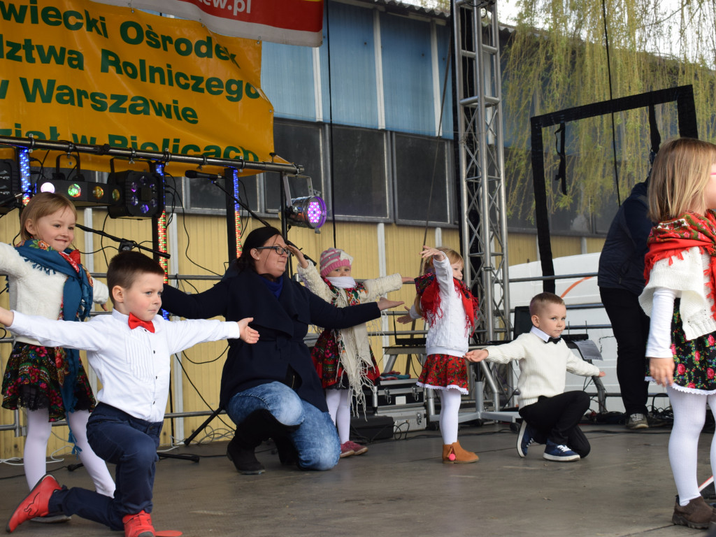 Niedziela na Targach