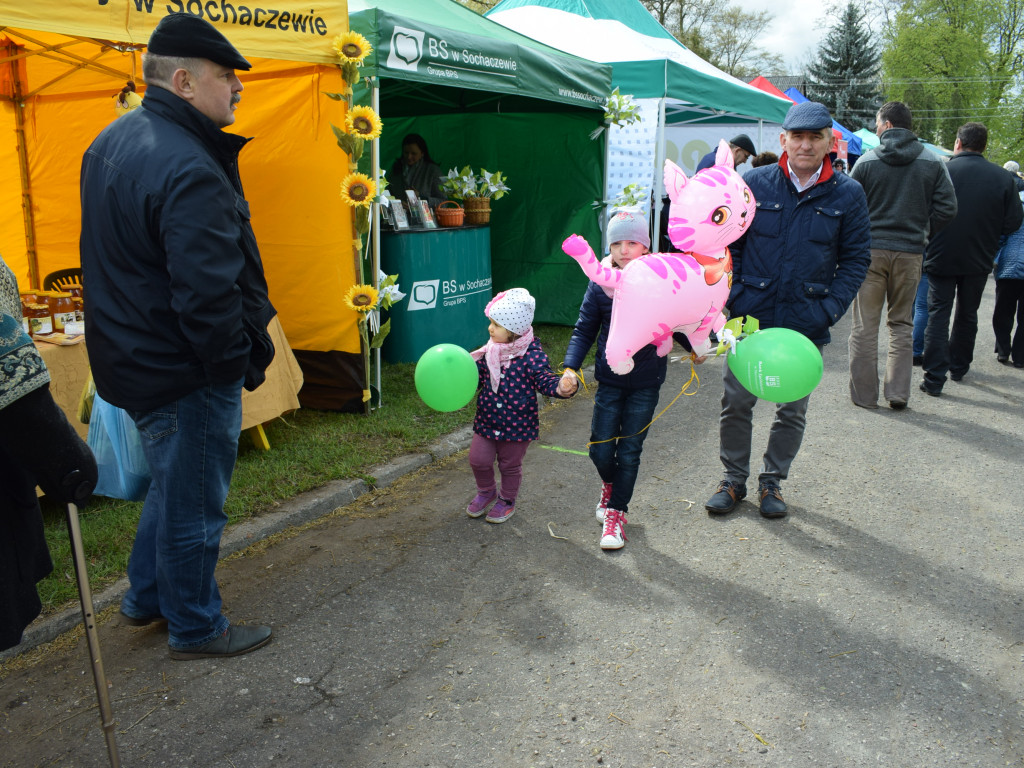 Niedziela na Targach