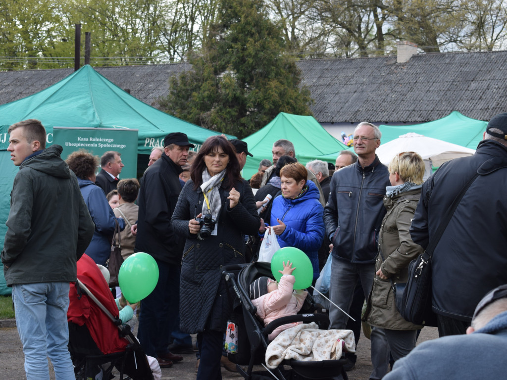 Niedziela na Targach