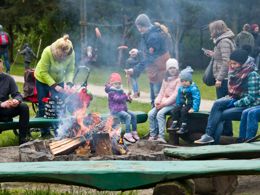 Sezon turystyczny w Muzeum Kolei Wąskotorowej rozpoczęty!