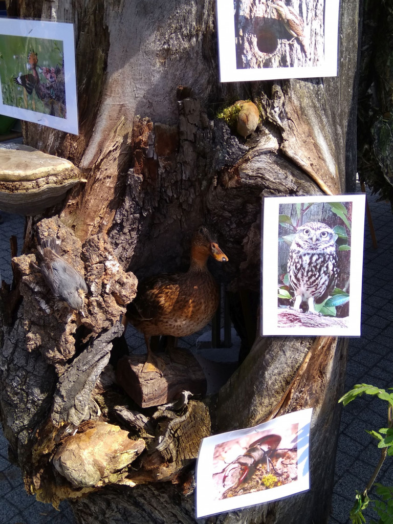 Eko Piknik w Błoniu