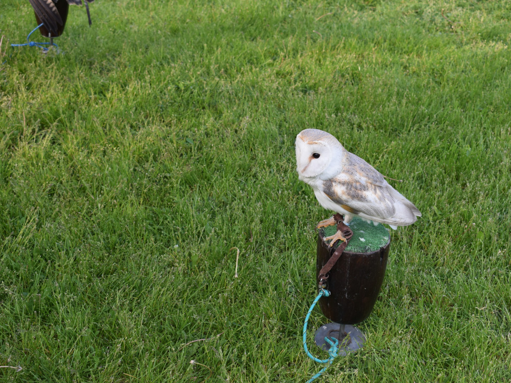 Niezwykła Noc w Muzeum Ziemi Sochaczewskiej i Pola Bitwy nad Bzurą [ZDJĘCIA]