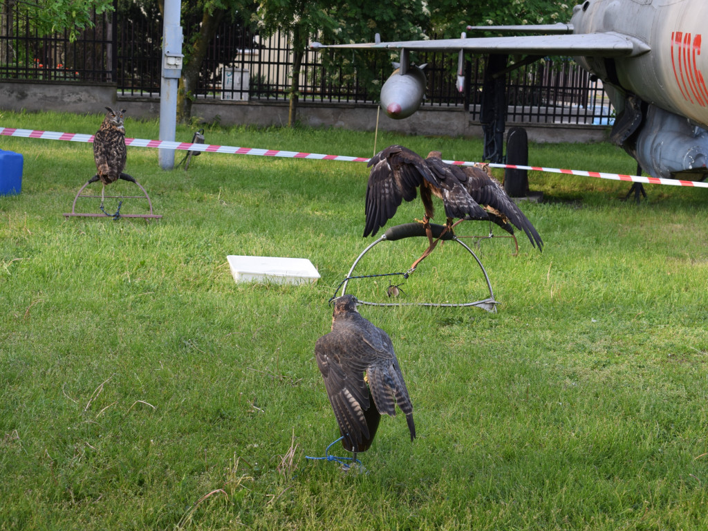 Niezwykła Noc w Muzeum Ziemi Sochaczewskiej i Pola Bitwy nad Bzurą [ZDJĘCIA]