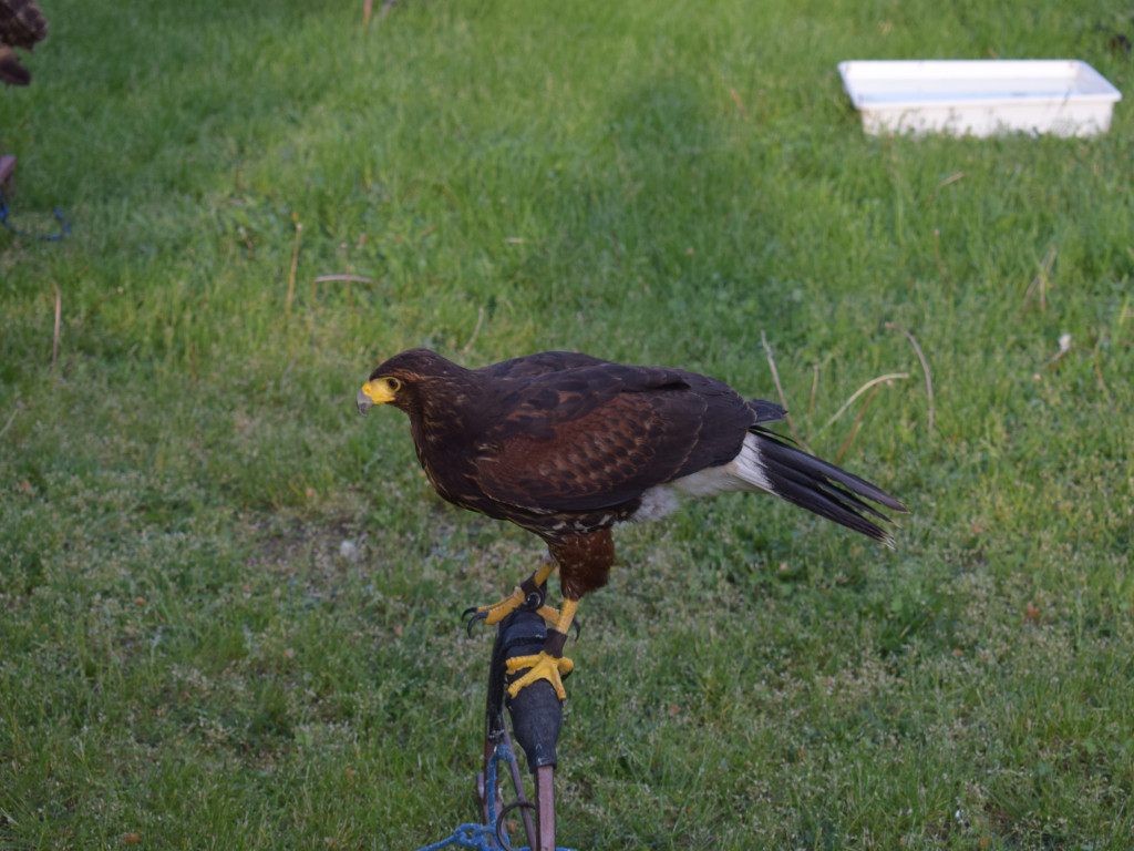 Niezwykła Noc w Muzeum Ziemi Sochaczewskiej i Pola Bitwy nad Bzurą [ZDJĘCIA]