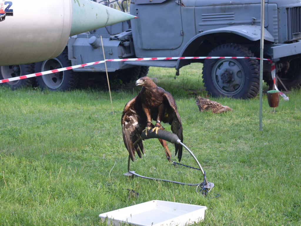 Niezwykła Noc w Muzeum Ziemi Sochaczewskiej i Pola Bitwy nad Bzurą [ZDJĘCIA]