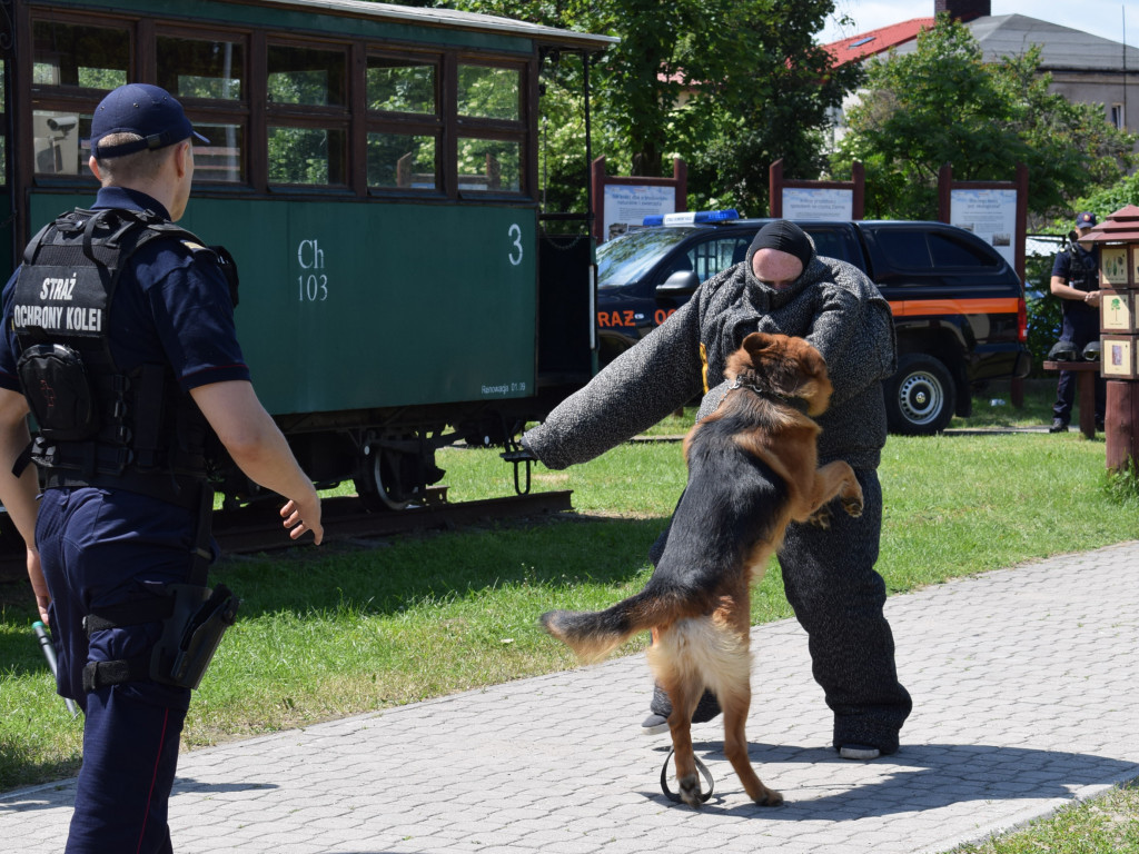 Prezydentowa Agata Kornhauser-Duda ponownie w Sochaczewie [ZDJĘCIA]
