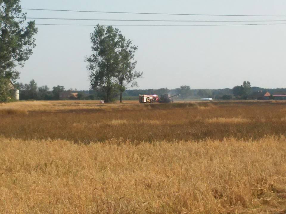 Pięć pożarów w ciągu ubiegłej doby gasiła sochaczewska straż pożarna