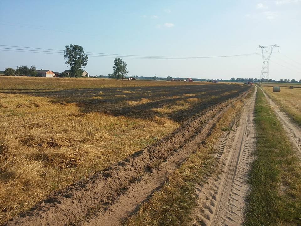 Pięć pożarów w ciągu ubiegłej doby gasiła sochaczewska straż pożarna