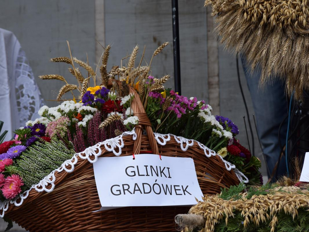 XIV Cross Country Ziemi Sochaczewskiej już za nami