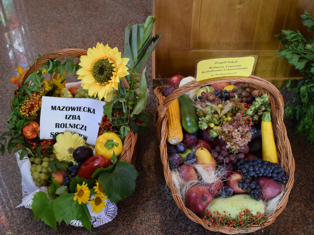 Dożynki powiatowe w Sochaczewie [RELACJA FOTO I AUDIO]