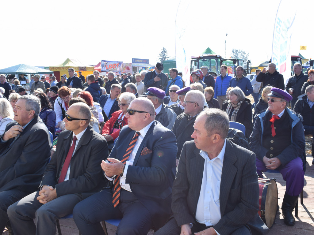 Dni Kukurydzy 2017