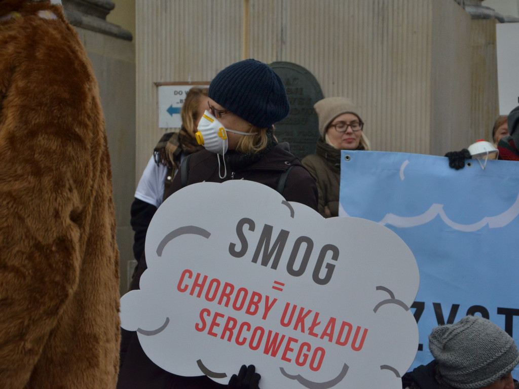 Sejmik przyjął ustawę antysmogową