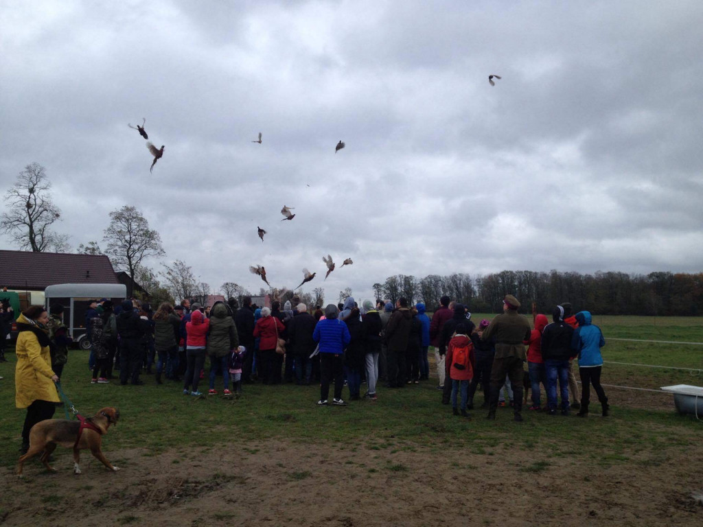 Pierwszy ?Hubertus? w Gminie Teresin