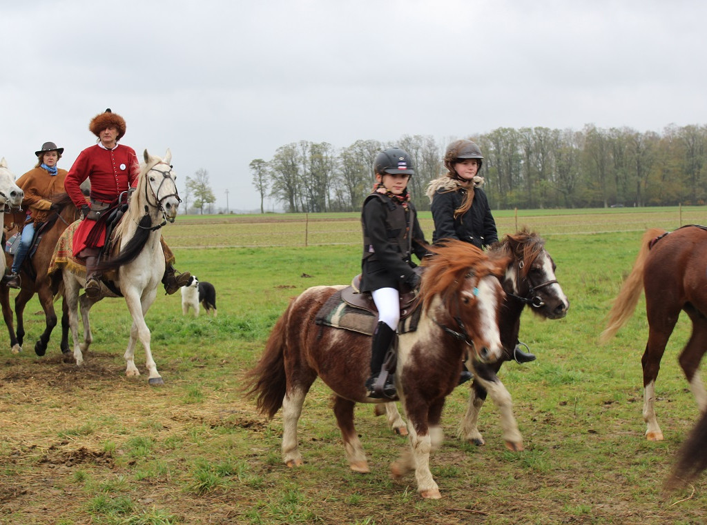 Pierwszy ?Hubertus? w Gminie Teresin