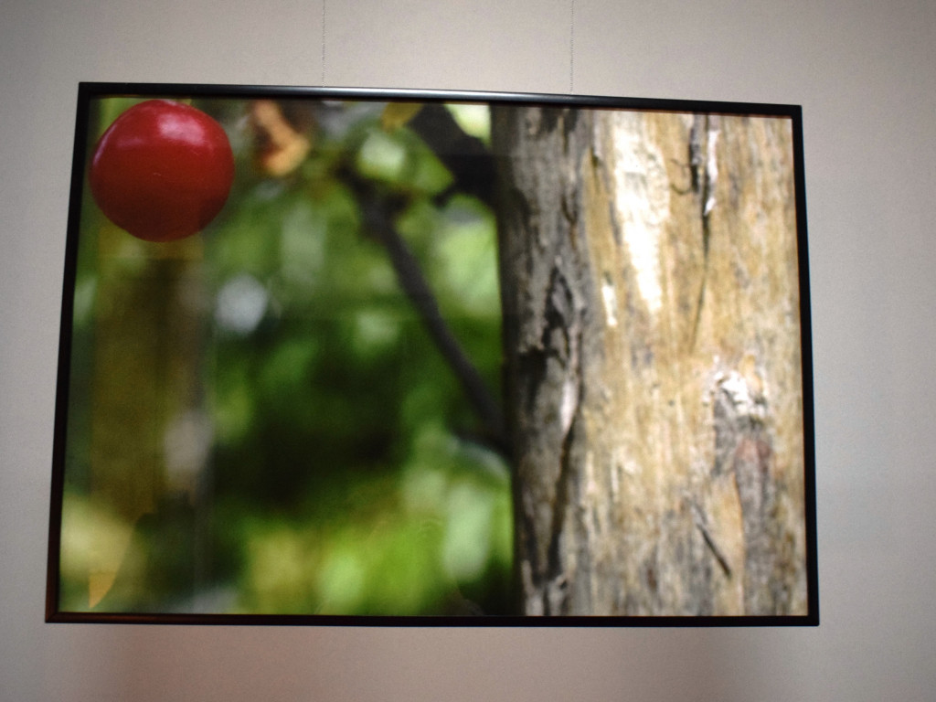 Sochaczewskie Zaduszki Kulturalne