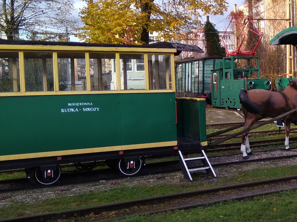 Wizyta gości z województwa świętokrzyskiego w Muzeum Kolei Wąskotorowej  [Wideo]