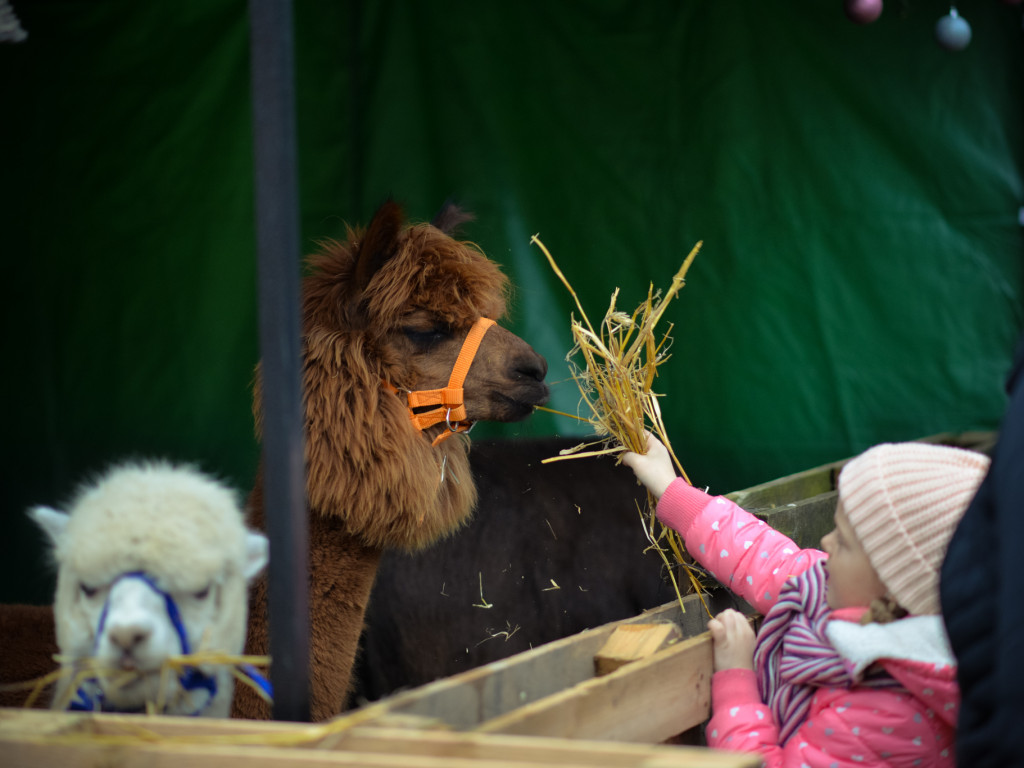 Jarmark Adwentowy w Gawłowie
