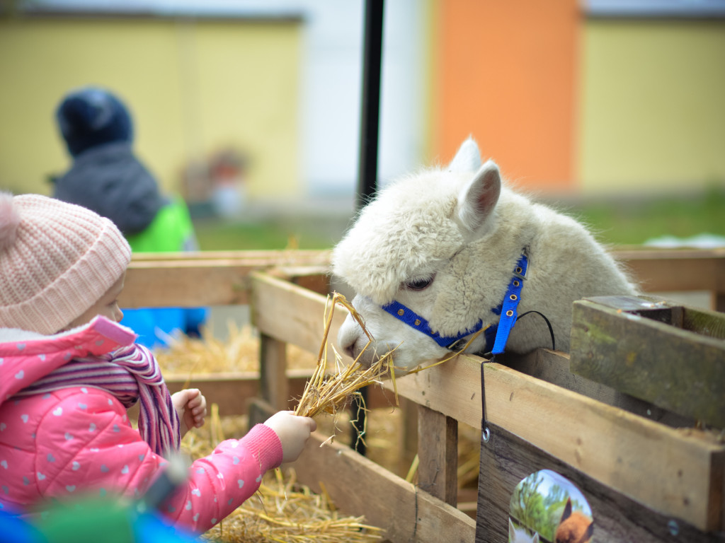 Jarmark Adwentowy w Gawłowie