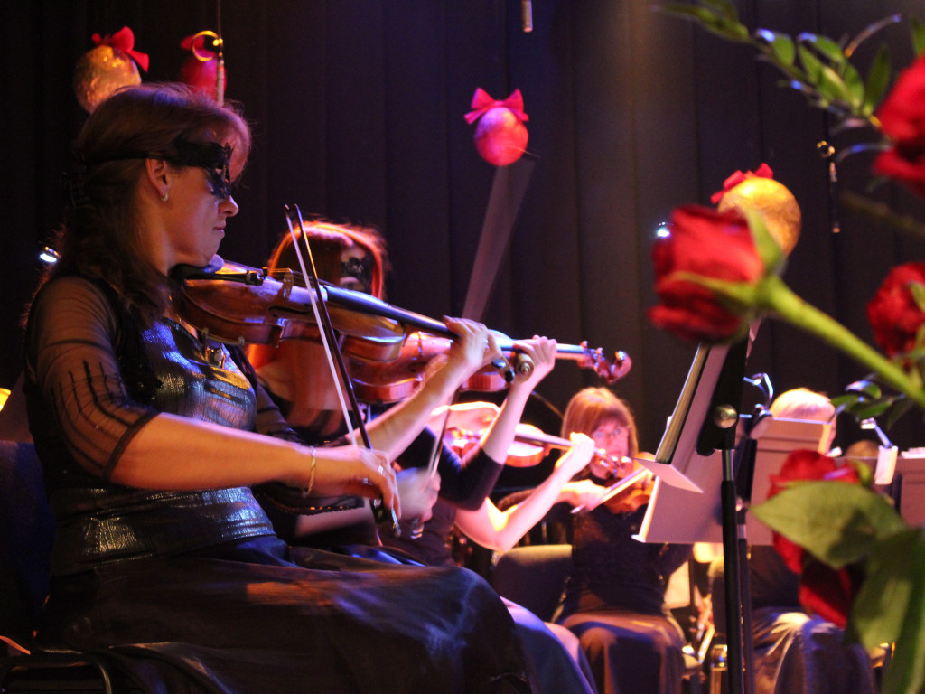 Noworoczny koncert orkiestry Camerata Mazovia
