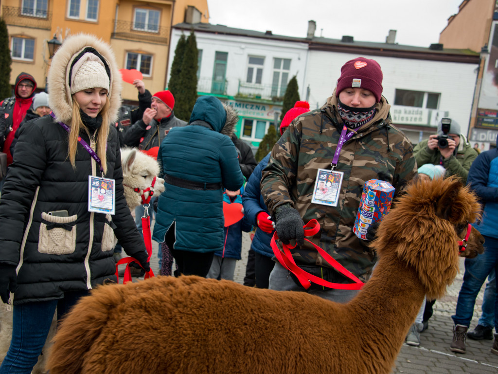 Sochaczewskie Serce na Placu Kościuszki