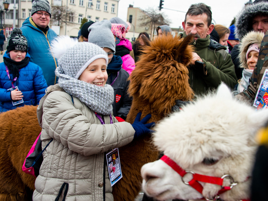 Sochaczewskie Serce na Placu Kościuszki