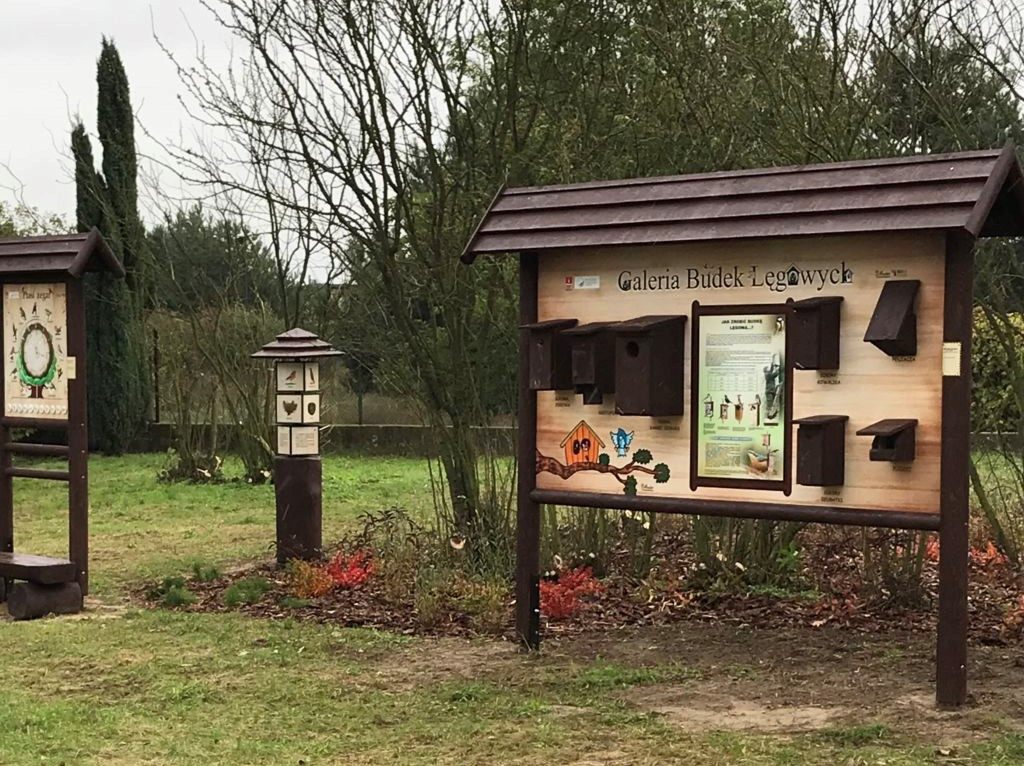 Bawiąc uczy, czyli ścieżka edukacyjna w Młodzieszynie
