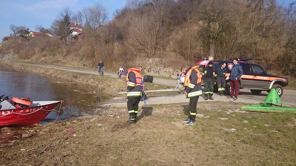 Szukali padłych zwierząt