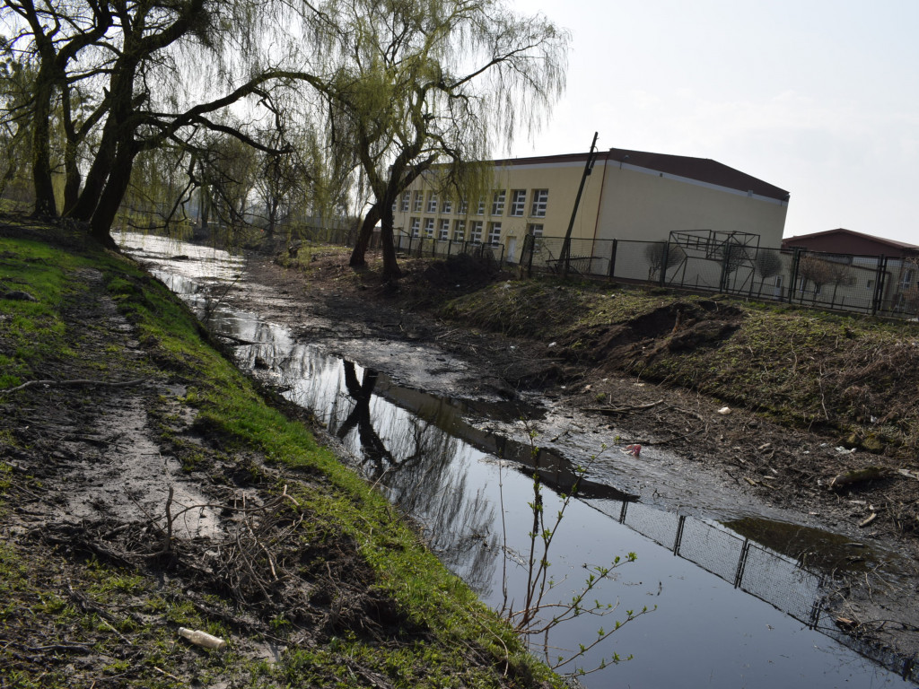 Staw w parku Garbolewskiego: jedni wybierają dno, a inni karasie