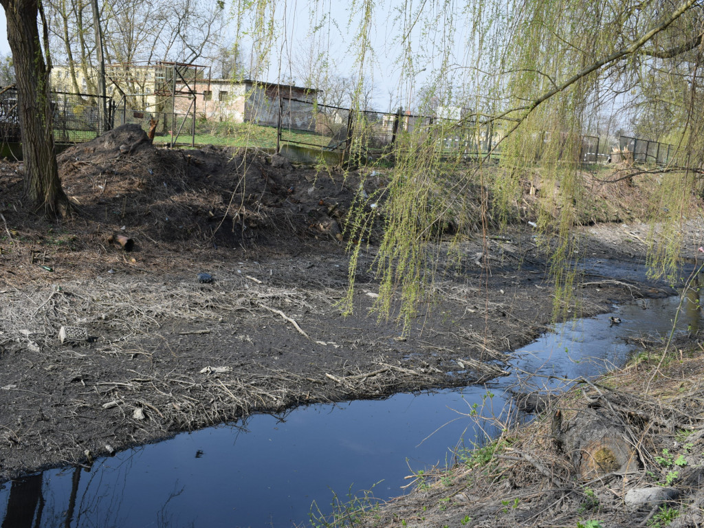 Staw w parku Garbolewskiego: jedni wybierają dno, a inni karasie