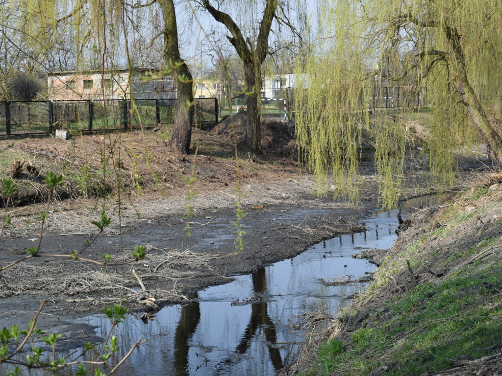 Staw w parku Garbolewskiego: jedni wybierają dno, a inni karasie