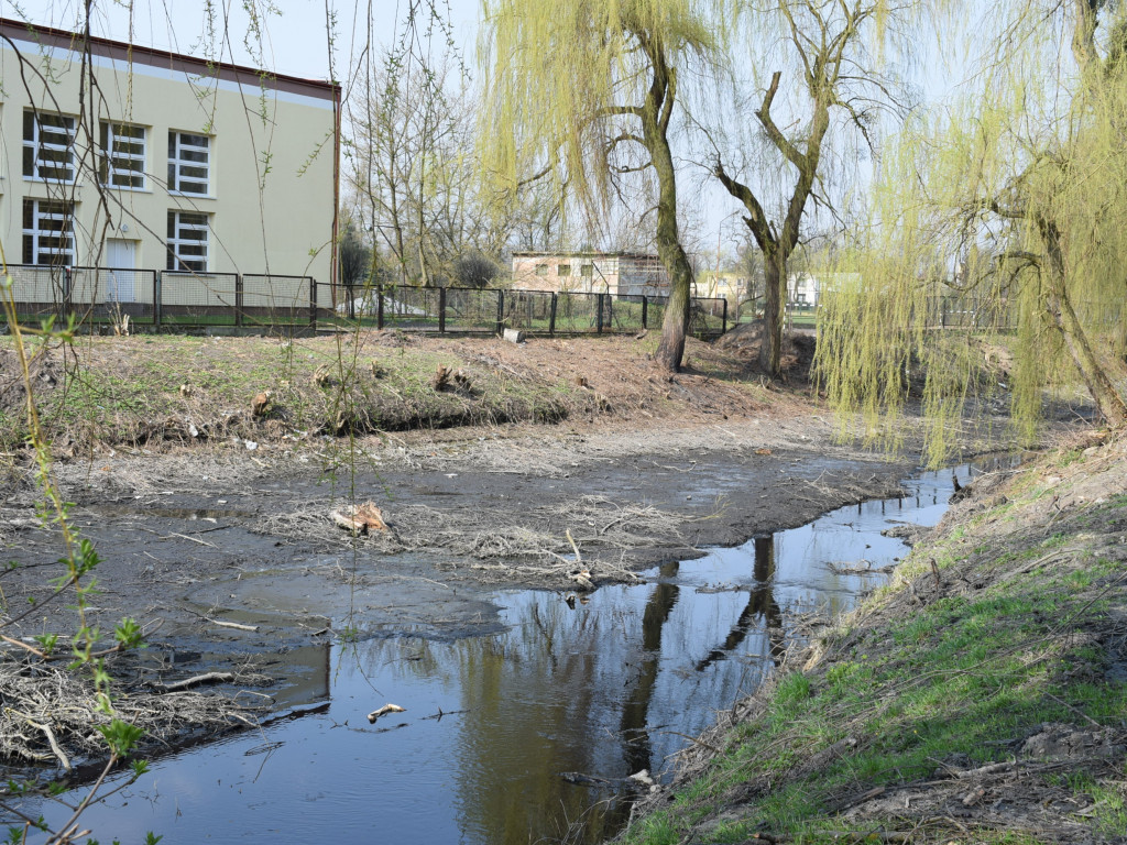 Staw w parku Garbolewskiego: jedni wybierają dno, a inni karasie