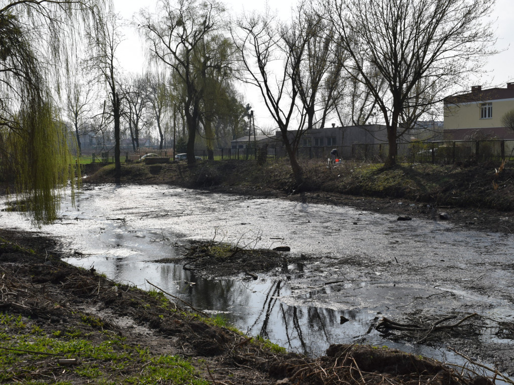 Staw w parku Garbolewskiego: jedni wybierają dno, a inni karasie