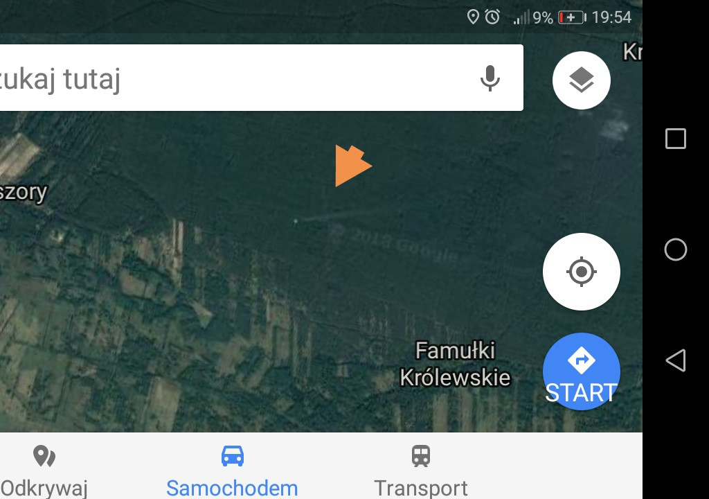 Samolot w Puszczy Kampinoskiej: zagadkowe zdjęcie google