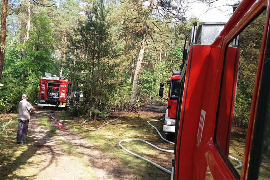 Podpalacz w Gminie Brochów