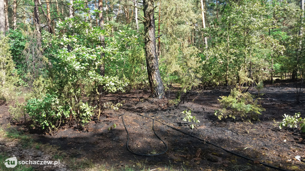 Podpalacz w Gminie Brochów
