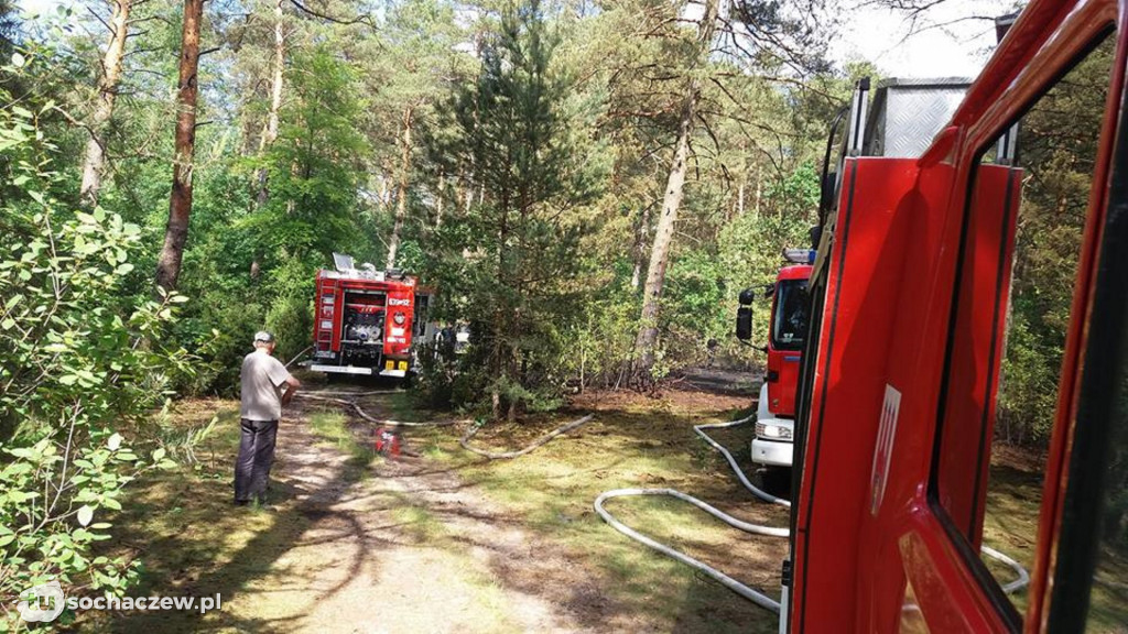 Podpalacz w Gminie Brochów