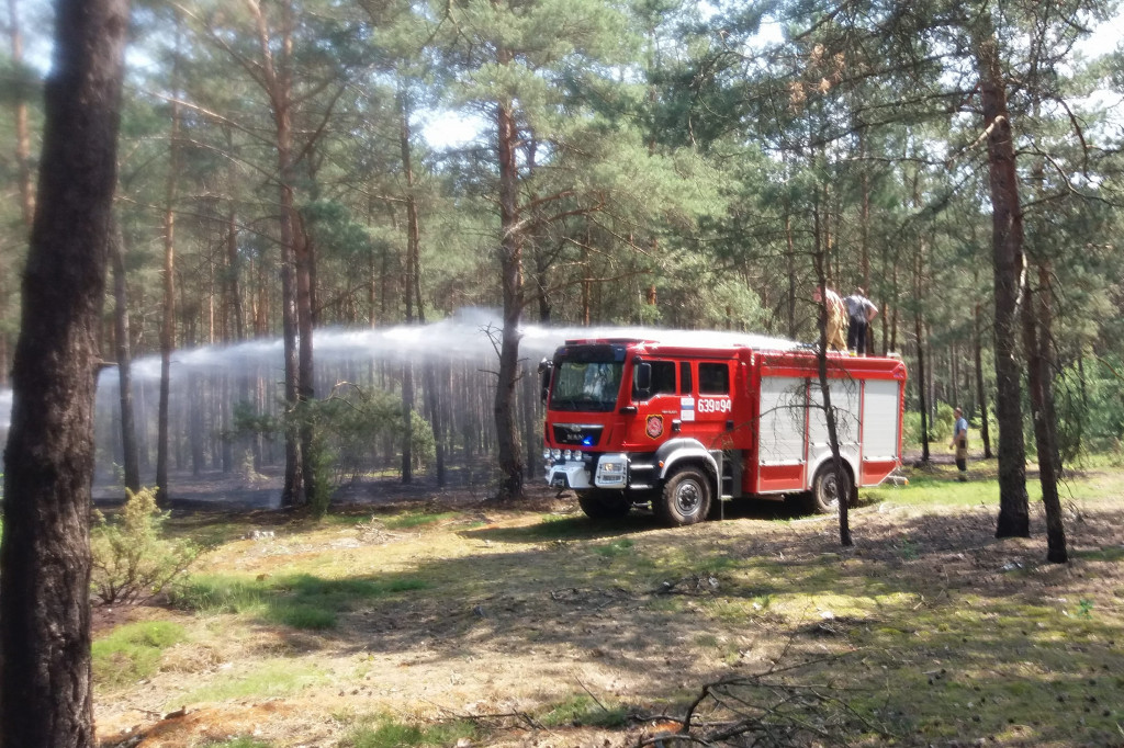 Pożary lasów w Gminie Brochów 2018