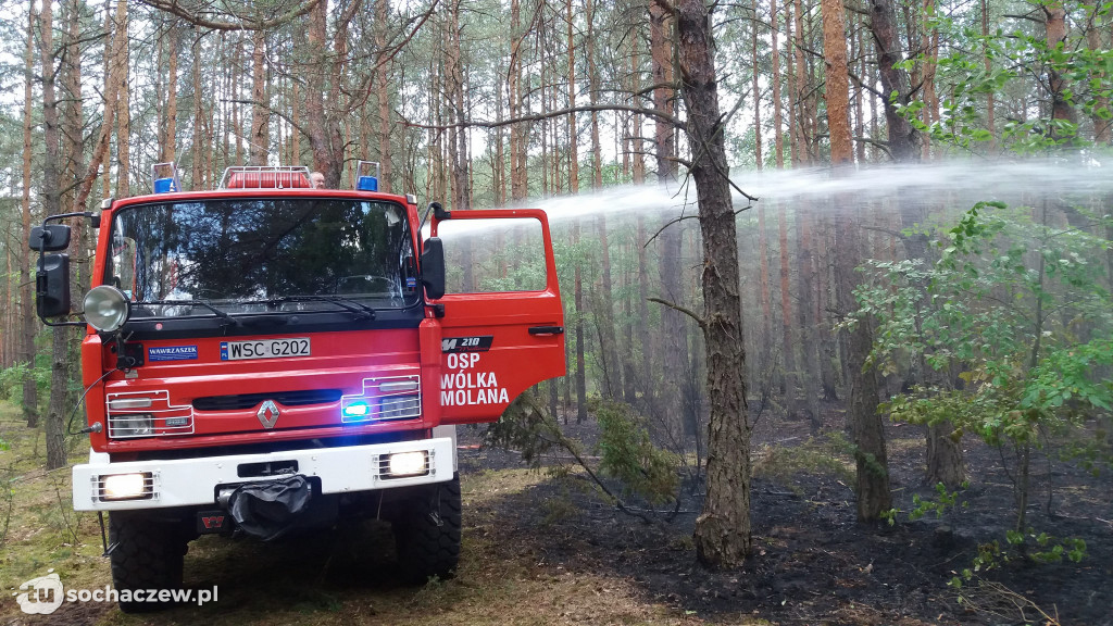 Pożary lasów w Gminie Brochów 2018