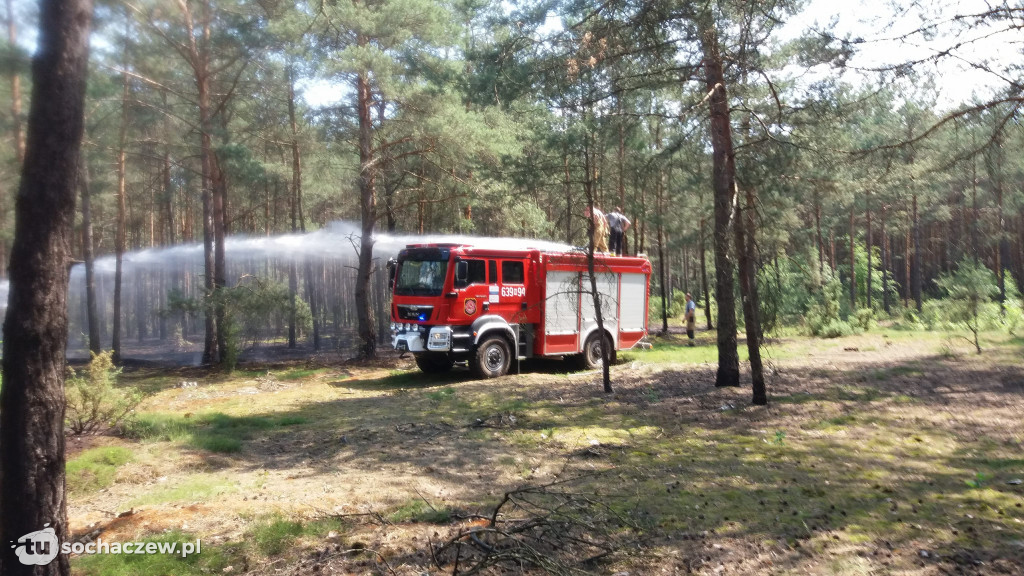 Pożary lasów w Gminie Brochów 2018