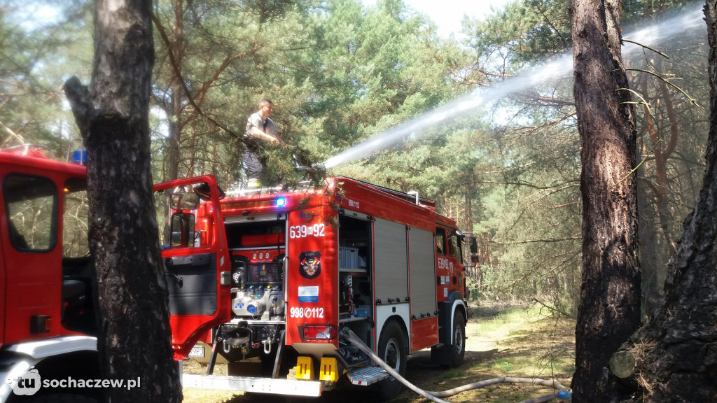 Pożary lasów w Gminie Brochów 2018
