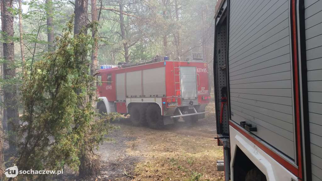Pożary lasów w Gminie Brochów 2018