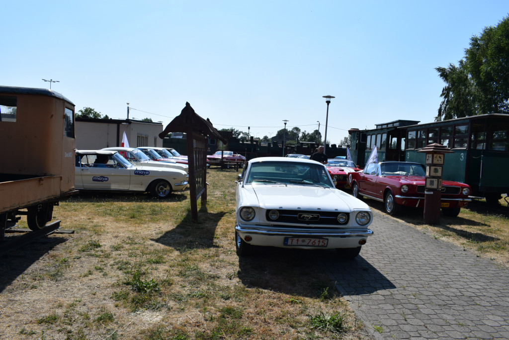 Rajd zabytkowych Mustangów