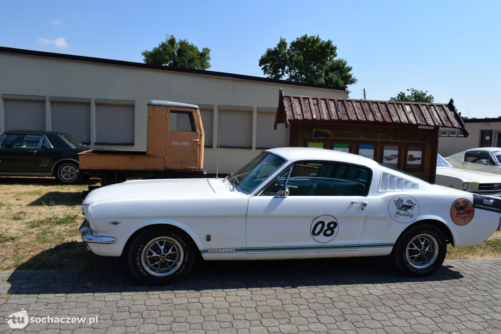 Rajd zabytkowych Mustangów
