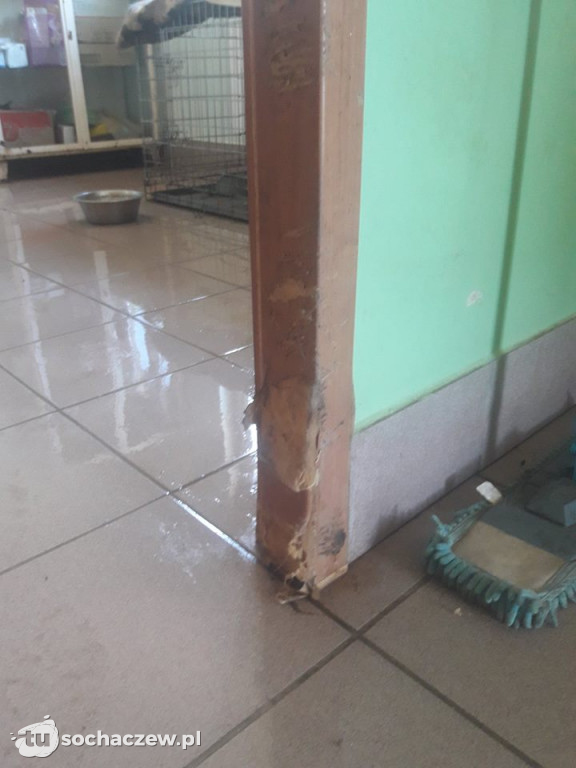 Szpital w Nero potrzebuje pomocy
