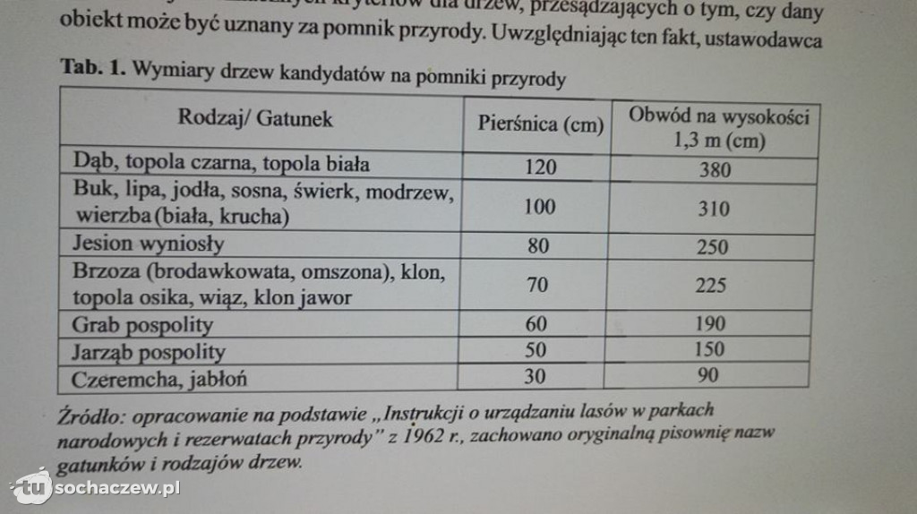 To powinien być pomnik przyrody