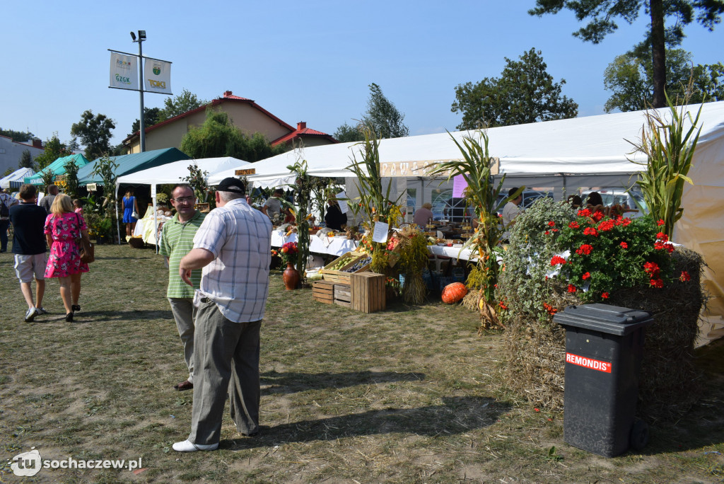 Dożynki w Teresinie