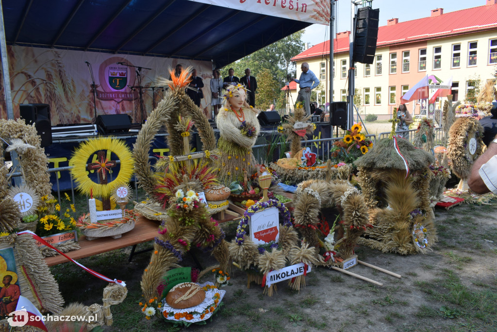 Dożynki w Teresinie