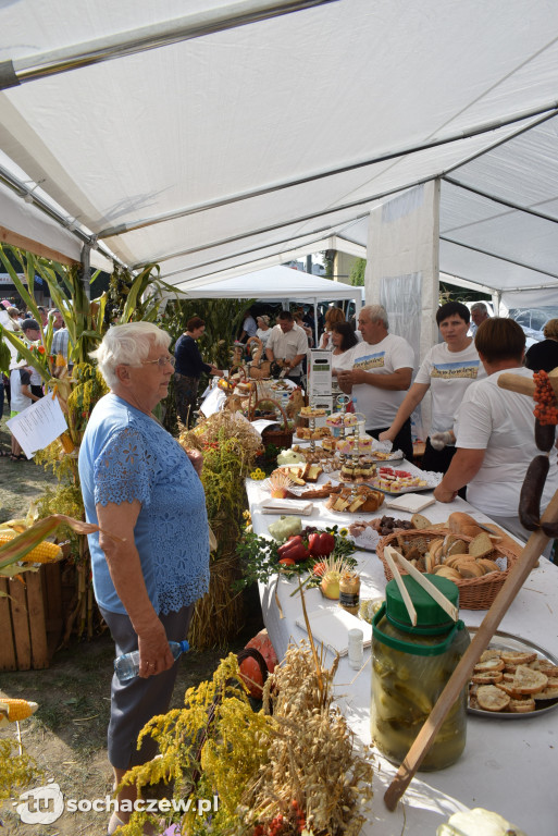 Dożynki w Teresinie