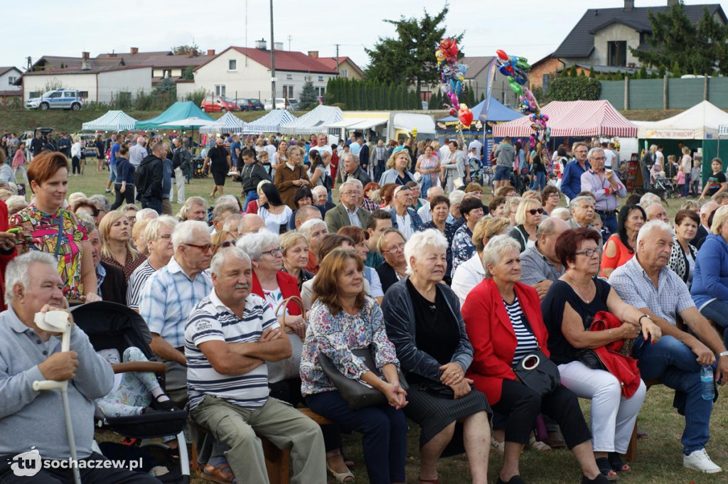 Dożynki powiatowe w Młodzieszynie